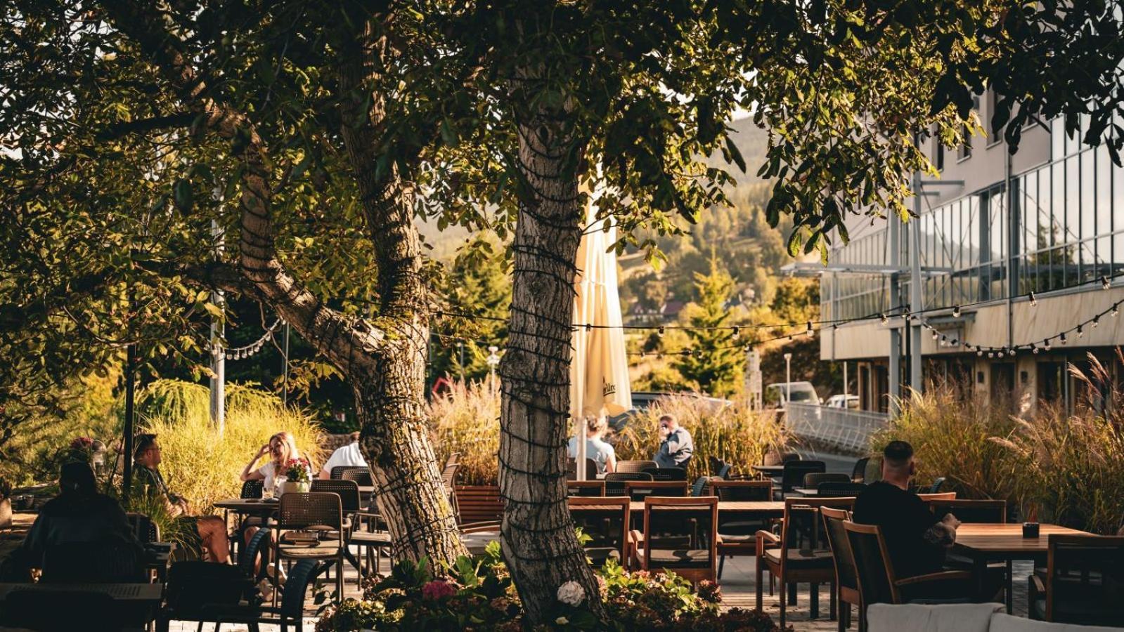 Hotel&Medi-Spa Biały Kamień Swieradow-Zdroj Bagian luar foto